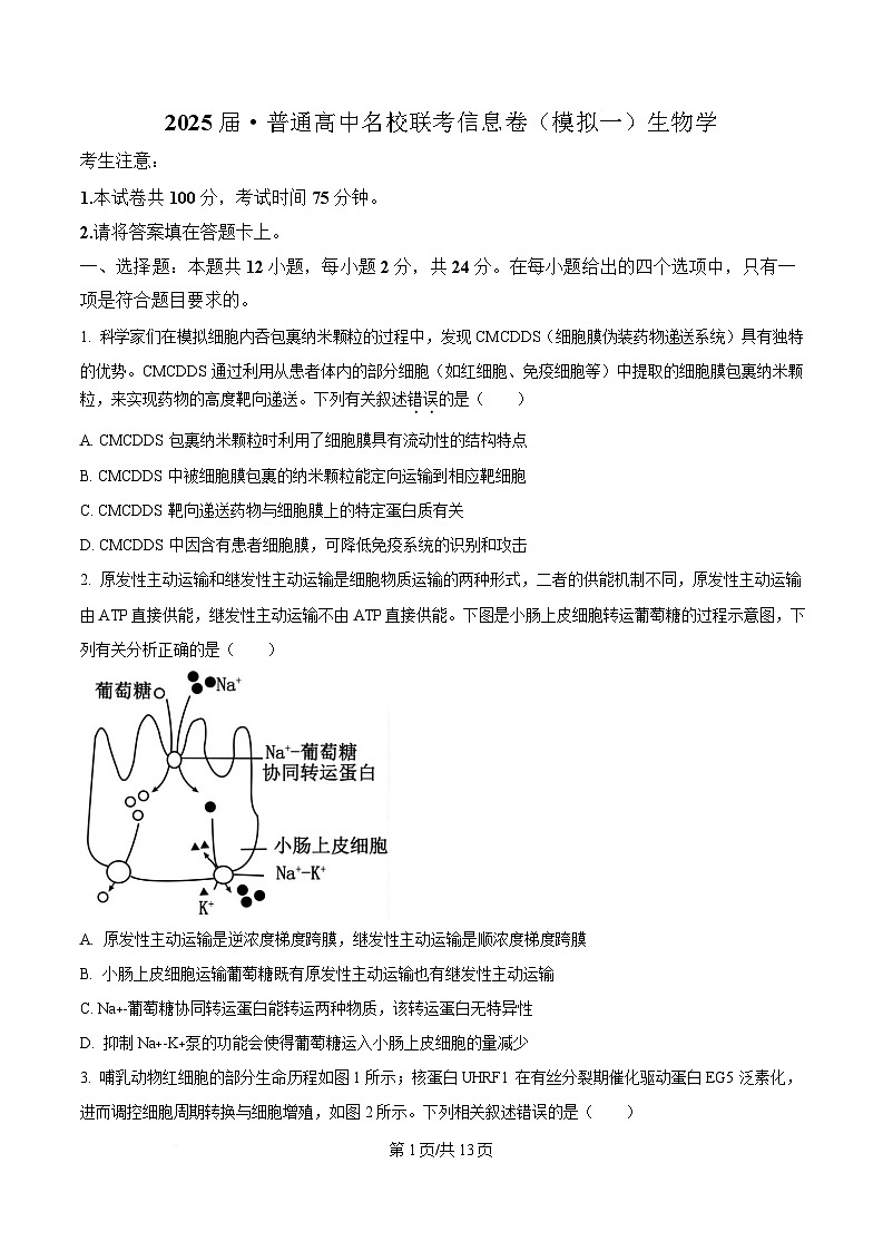 湖南省2025届高三下学期高考普通高中名校联考第一次模拟考试生物试题（原卷版）第1页