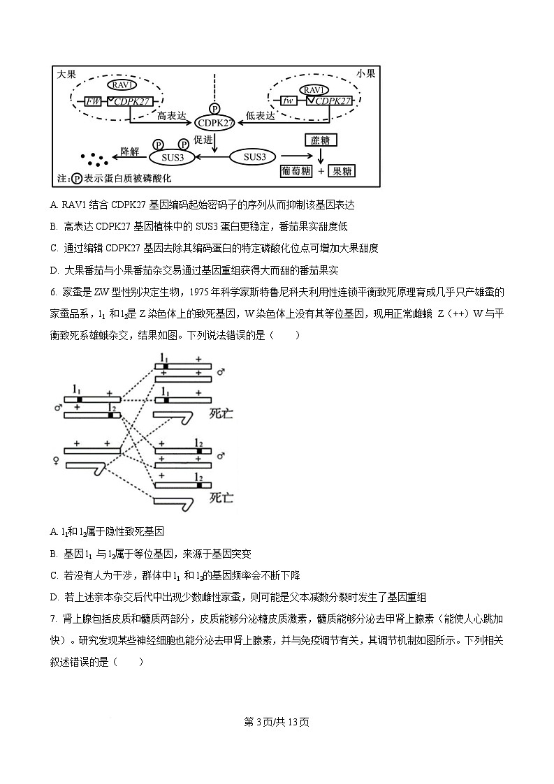 湖南省2025届高三下学期高考普通高中名校联考第一次模拟考试生物试题（原卷版）第3页