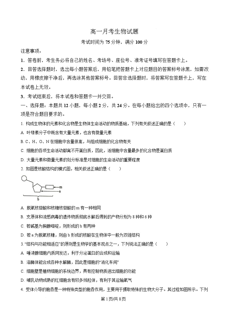 湖南省娄底市涟源市部分高中联考2024-2025学年高一下学期3月月考生物试题（原卷版）第1页