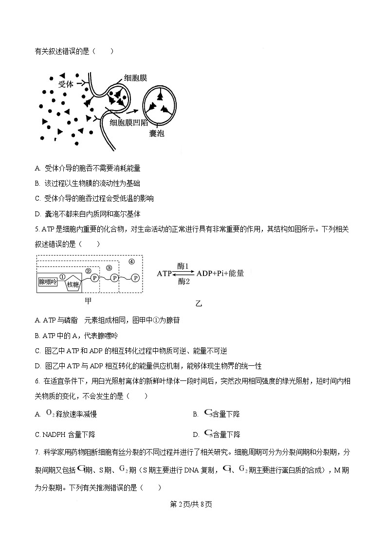 湖南省娄底市涟源市部分高中联考2024-2025学年高一下学期3月月考生物试题（原卷版）第2页