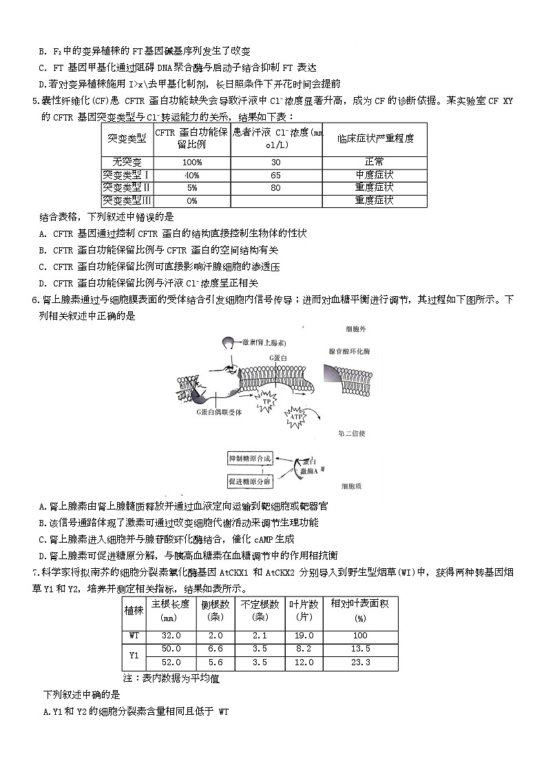 湖南省长沙市雨花区长沙市雅礼中学2024-2025学年高三下学期4月月考生物试题第2页
