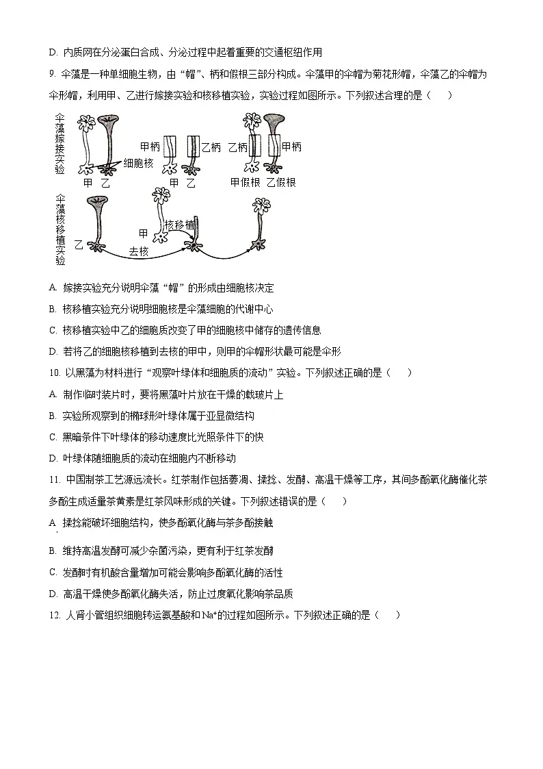 辽宁省抚顺市六校协作体2024-2025学年高一下学期期初检测生物试卷 Word版无答案第3页