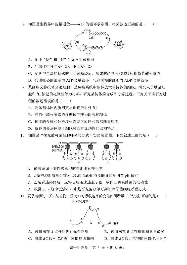 辽宁省沈阳市郊联体2024-2025学年高一上学期期末考试生物试卷第3页