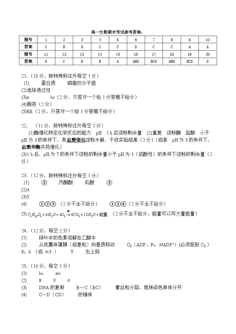 高一生物答案第1页
