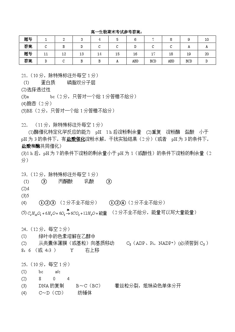 高一生物答案第1页