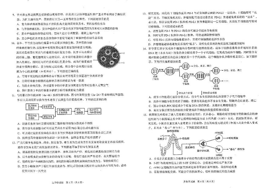 四川省雅安市2024-2025学年高三下学期第二次诊断性考试生物第2页