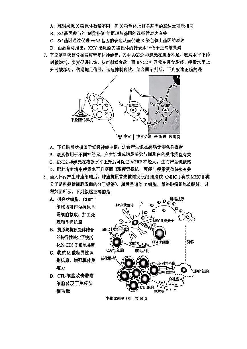 2025届山东省实验中学高三第四次诊断考试生物试卷（含答案）第3页
