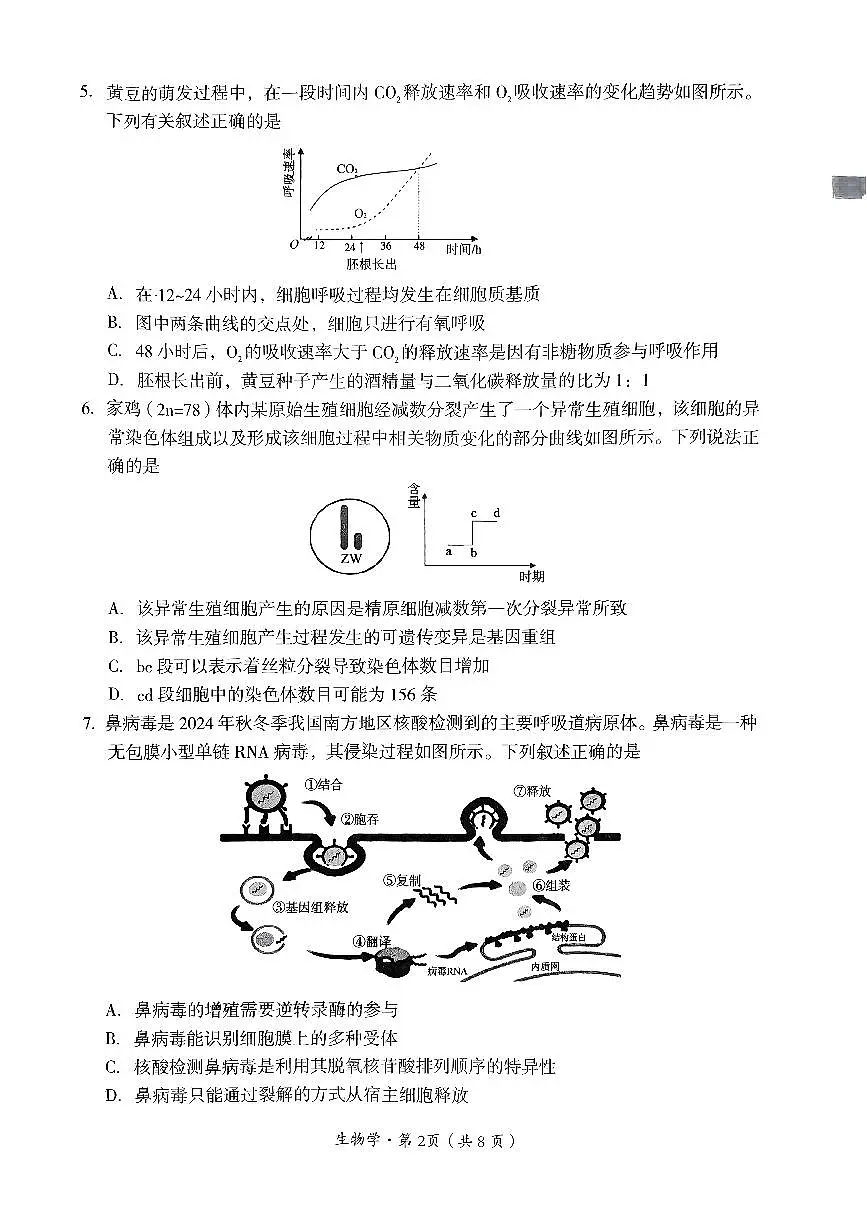 四川省巴中市普通高中2024-2025学年高三下学期一诊考试生物试卷（含答案）第2页