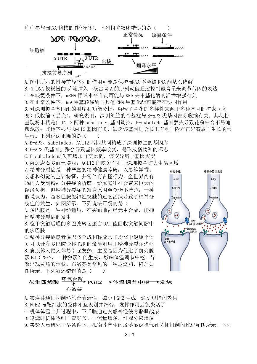 四川省成都市第七中学2024-2025学年高三下学期2月入学考试生物试卷（含答案）第2页