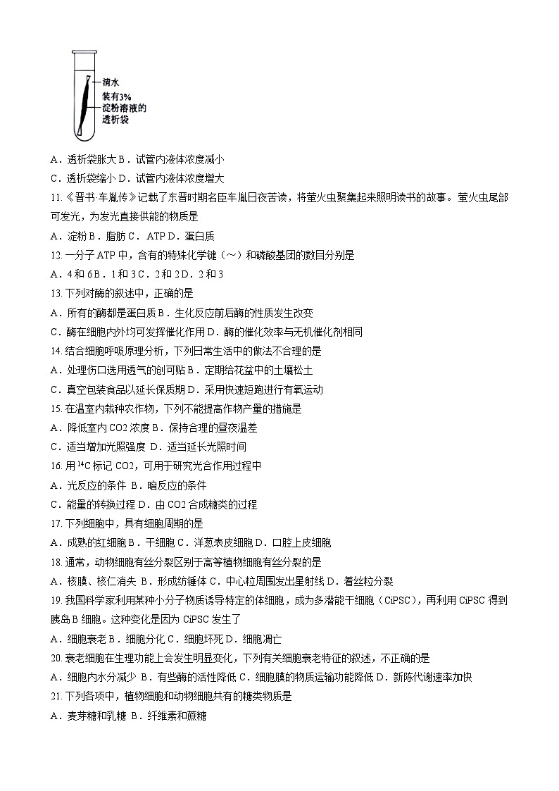 北京市延庆区2024-2025学年高一（上）期末生物试题（含答案）第2页