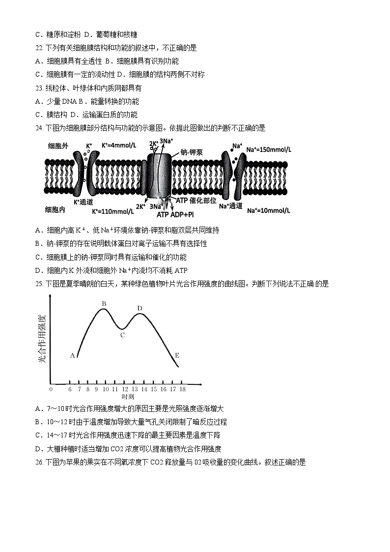 北京市延庆区2024-2025学年高一（上）期末生物试题（含答案）第3页