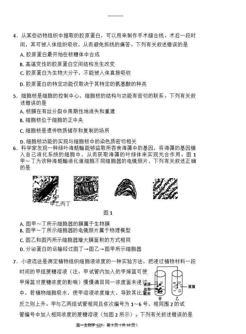 贵州省黔南州都匀市第一中学2024～2025学年度高一第二学期教学质量监测考试生物学试题(含答案）第2页