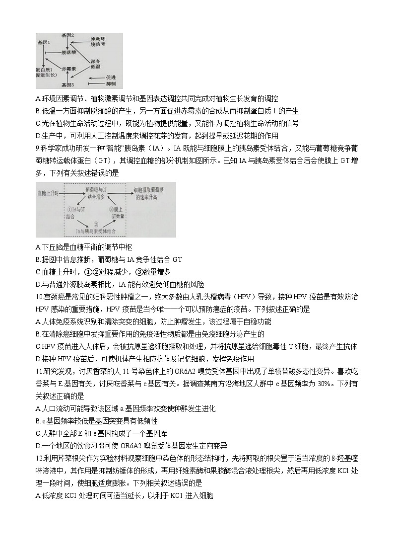 海南省海口市部分学校2024-2025学年高三上学期期末生物试题(含答案)第3页