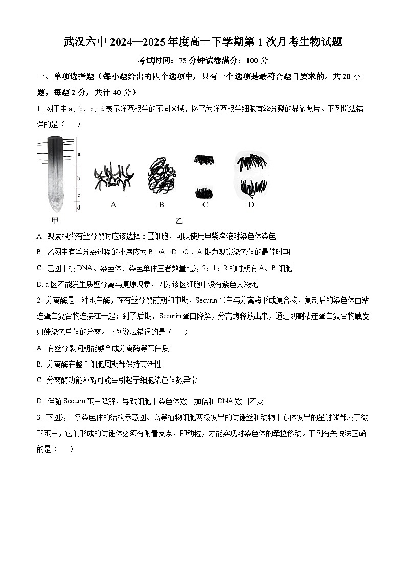 湖北省武汉市第六中学2024-2025学年高一下学期第1次月考生物学试题（含答案）第1页