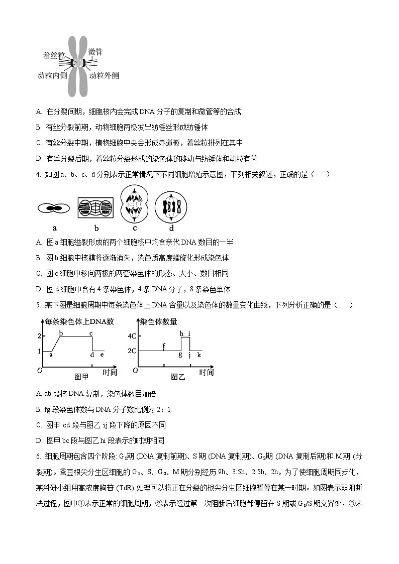 湖北省武汉市第六中学2024-2025学年高一下学期第1次月考生物学试题（含答案）第2页