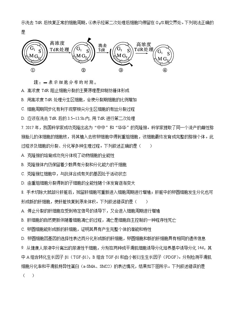 湖北省武汉市第六中学2024-2025学年高一下学期第1次月考生物学试题（含答案）第3页