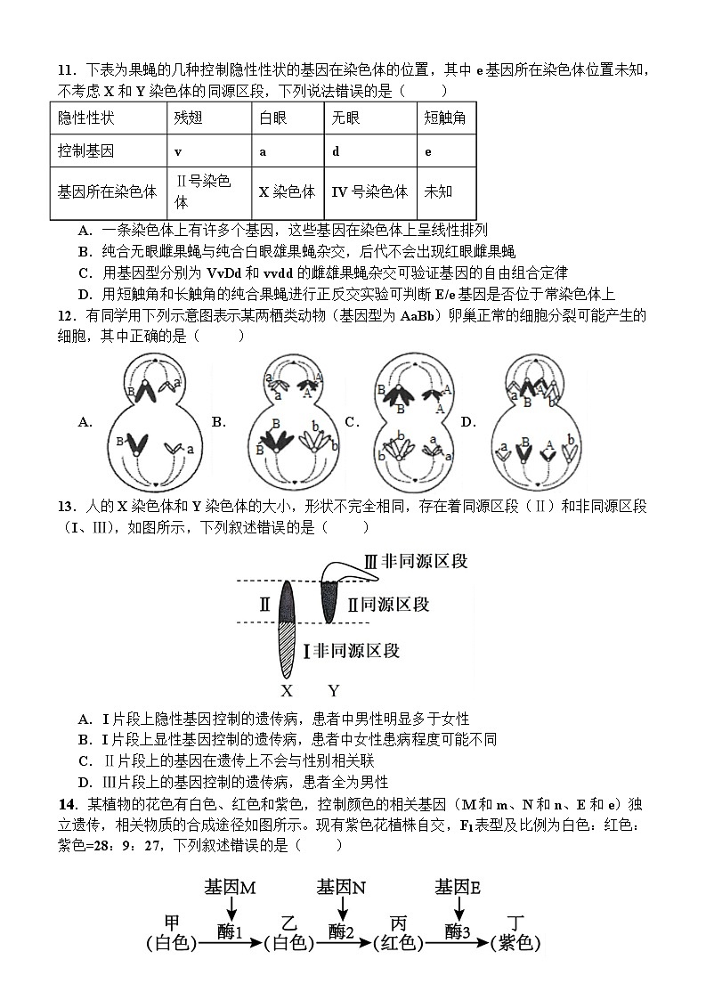 吉林省延边州延吉市延边第二中学2024-2025学年高一下学期3月月考生物试题（有答案）第3页