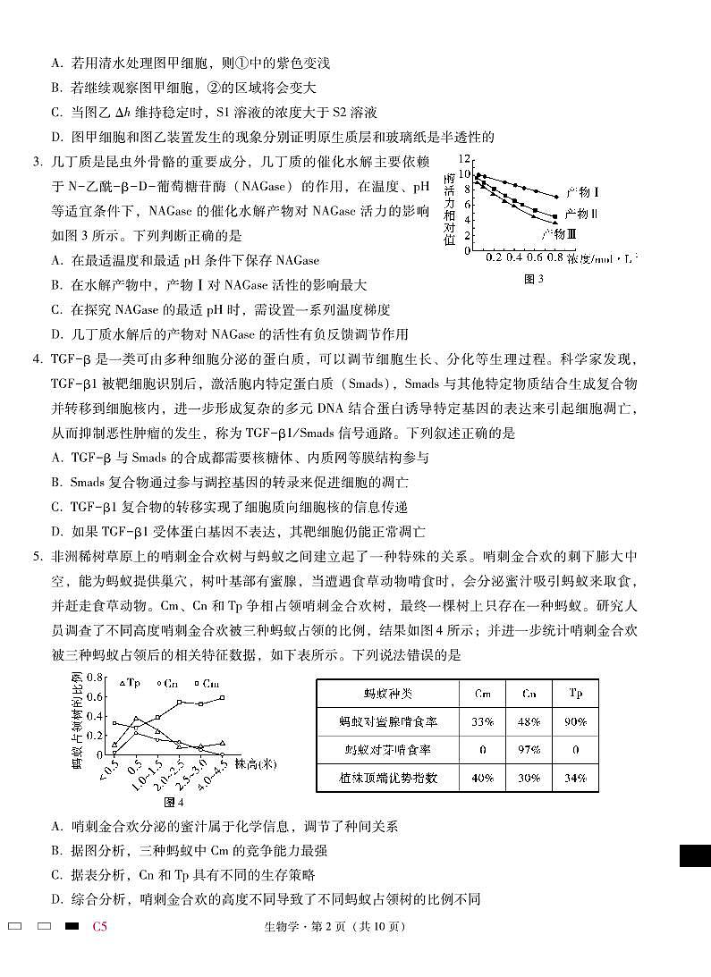 重庆市第八中学2025届高三2月适应性月考卷（五）生物试卷（含答案）第2页