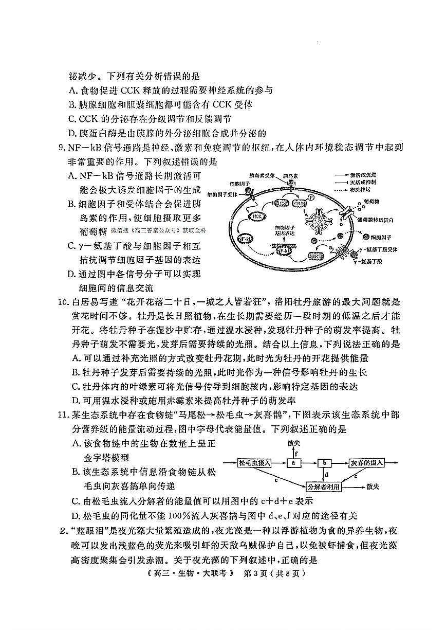 2025年H20高中联盟高三下学期4月生物试题及答案第3页