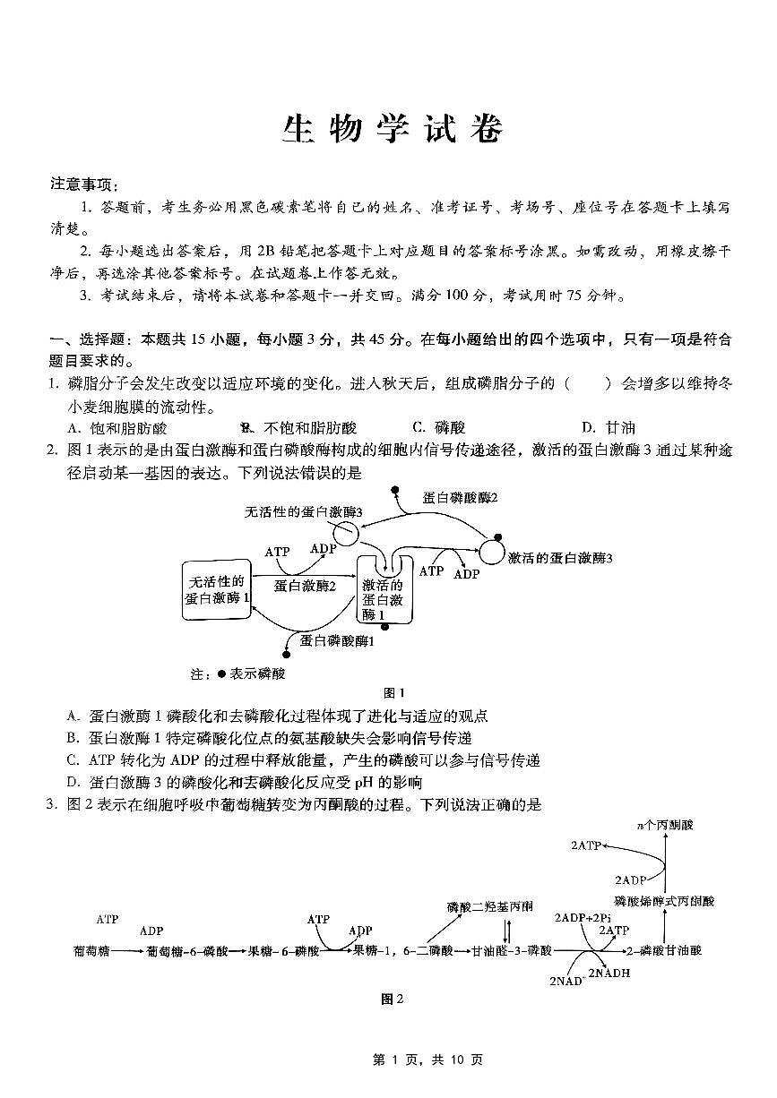 重庆市巴蜀中学2025届高三下学期4月考适应性月考卷（七）-生物试题+答案第1页