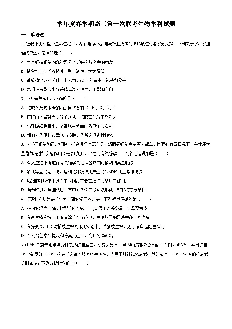 江苏省盐城市盐城市联盟校高三第一次联考2024-2025学年高三下学期3月月考生物试题 Word版无答案第1页