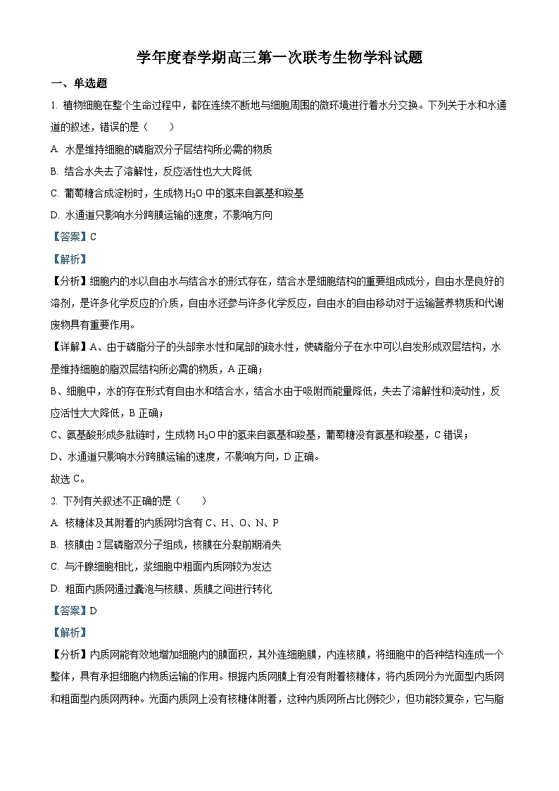 江苏省盐城市盐城市联盟校高三第一次联考2024-2025学年高三下学期3月月考生物试题 Word版含解析第1页