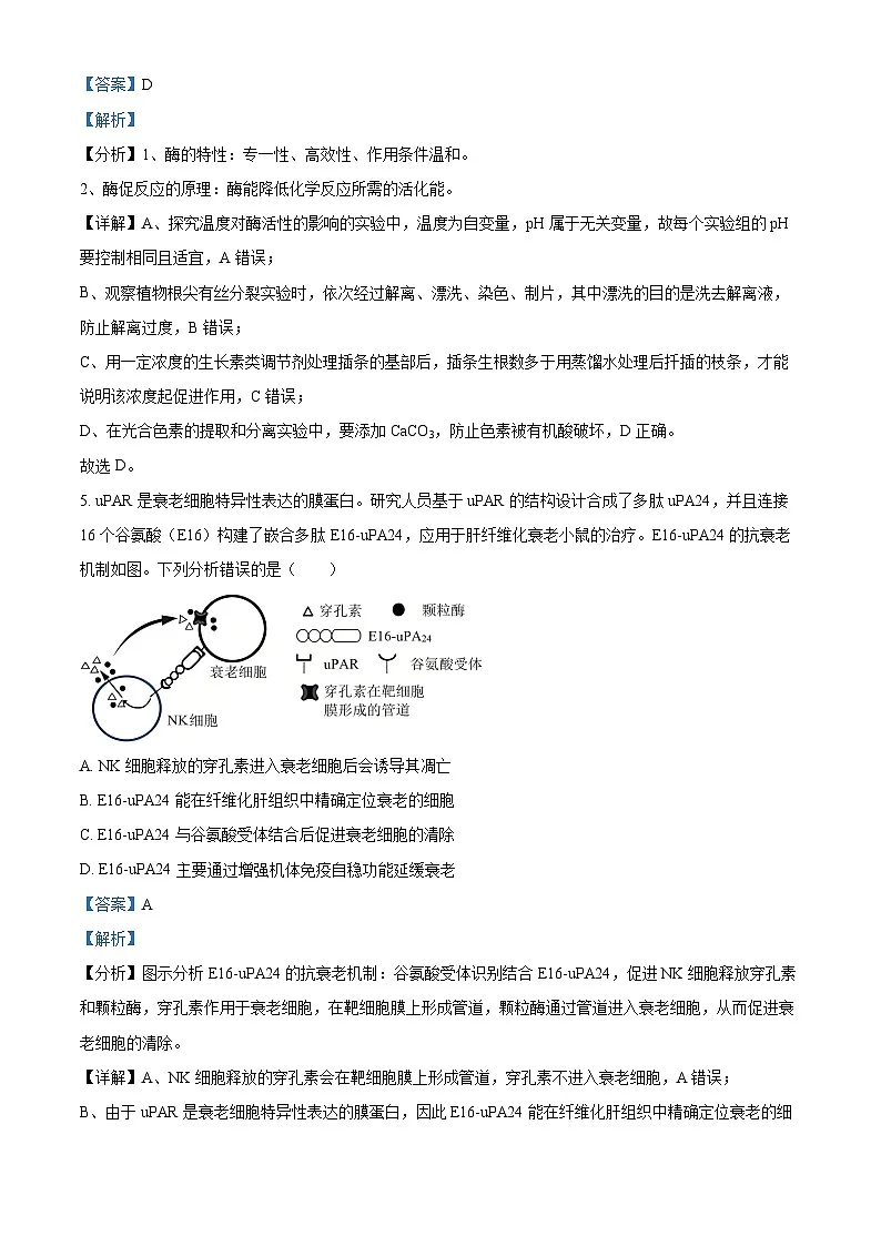 江苏省盐城市盐城市联盟校高三第一次联考2024-2025学年高三下学期3月月考生物试题 Word版含解析第3页
