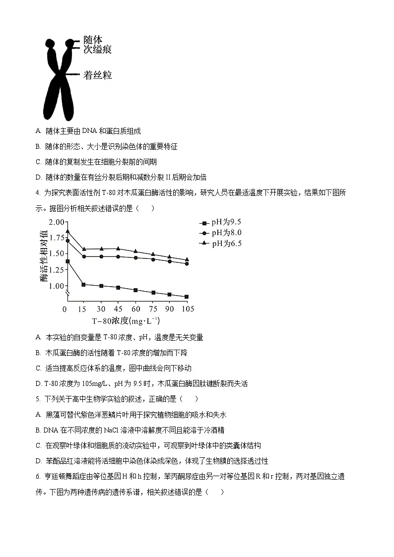 江苏省扬州市2024-2025学年高三上学期期末检测生物试卷 Word版无答案第2页