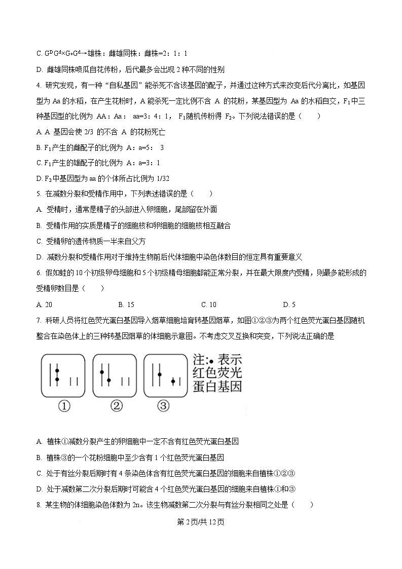 山东省菏泽市鄄城县第一中学2024-2025学年高一下学期4月月考生物试题（Word版附答案）第2页