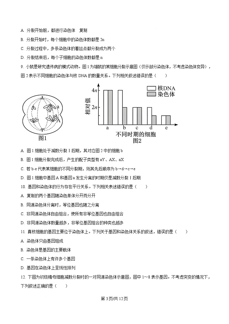 山东省菏泽市鄄城县第一中学2024-2025学年高一下学期4月月考生物试题（Word版附答案）第3页