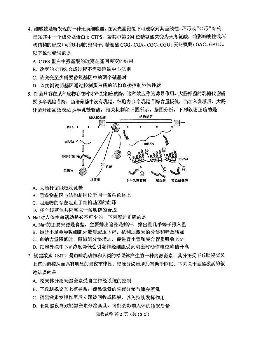 2025东北三省三校高三第一次联合模拟考试-生物试卷（含答案）第2页
