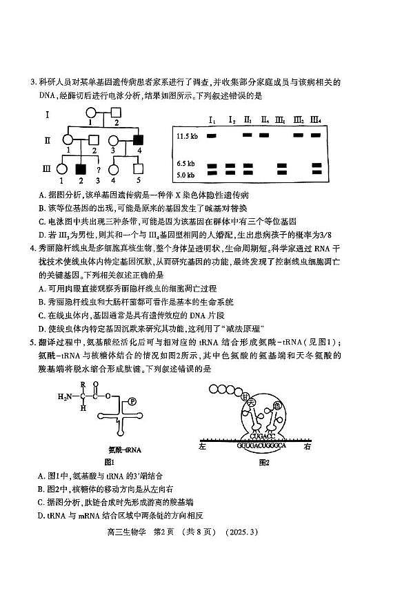 2025河南豫西北（洛平许济）高三第二次质量检测生物试卷（含答案）第2页
