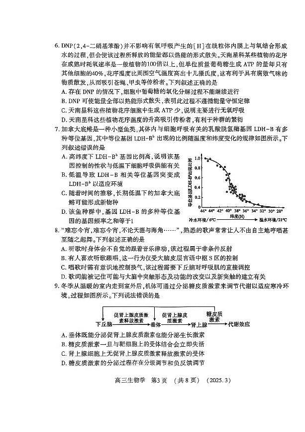 2025河南豫西北（洛平许济）高三第二次质量检测生物试卷（含答案）第3页
