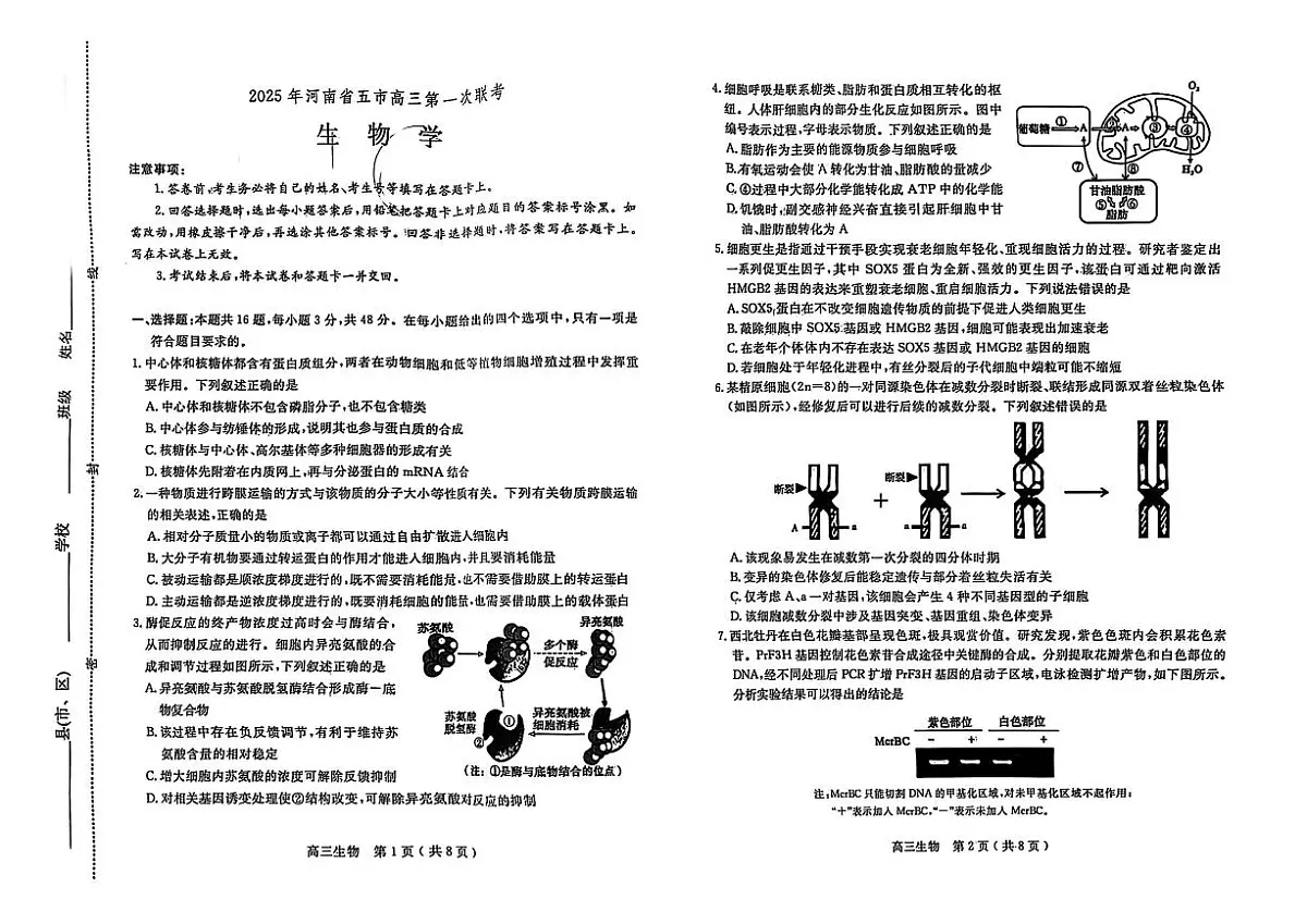 2025届河南省五市高三下学期第一次联考生物试卷（含答案）第1页