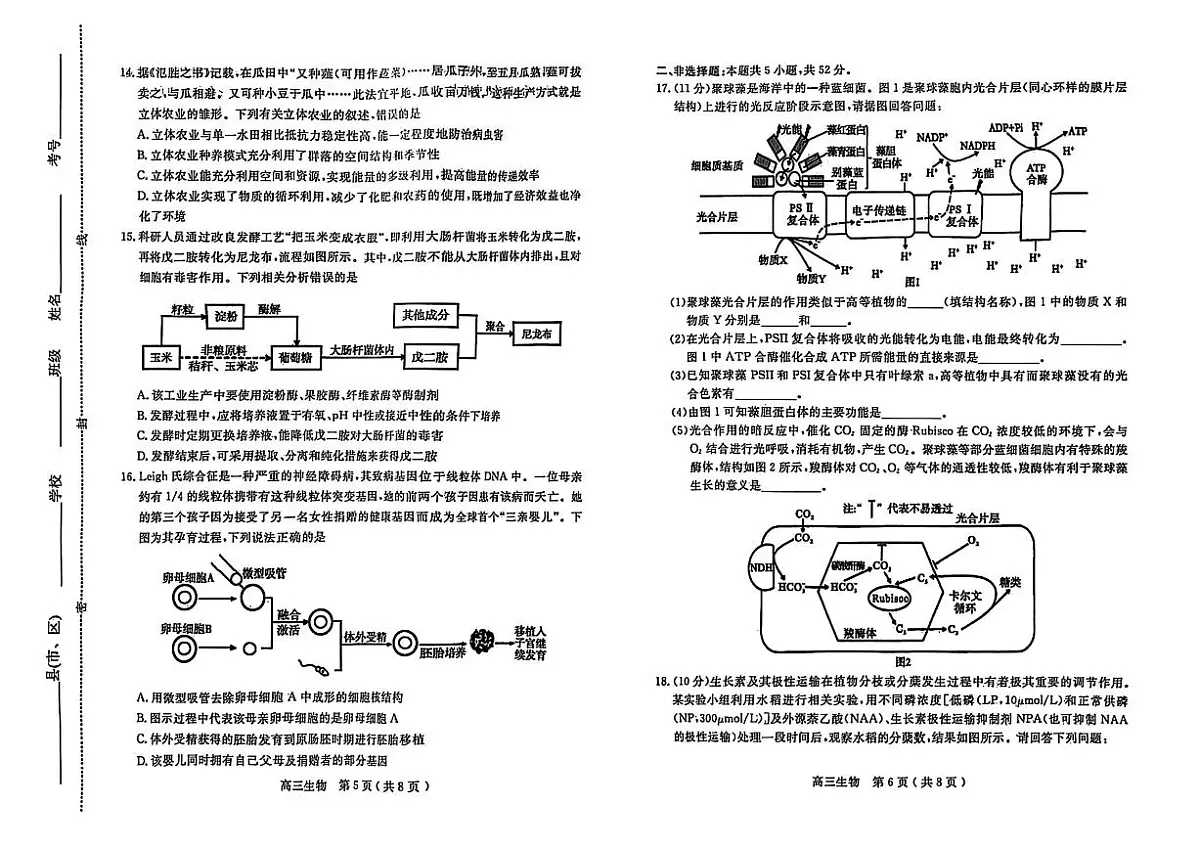 2025届河南省五市高三下学期第一次联考生物试卷（含答案）第3页