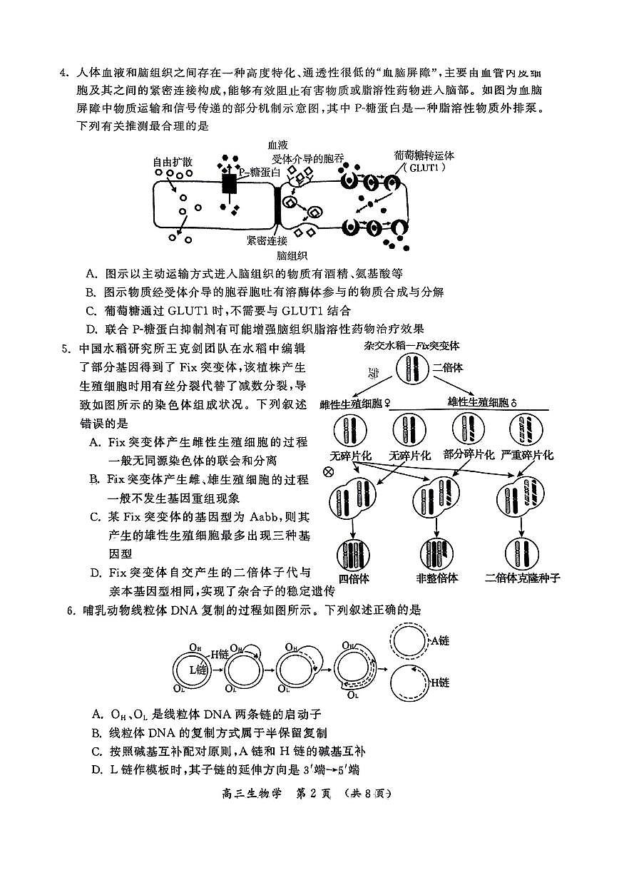 河南三市2025届高三年级第二次质量检测生物试卷（含答案）第2页