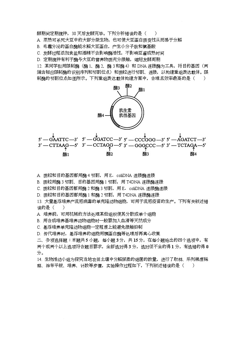河北省邢台市名校协作体2024-2025学年高二下学期4月期中考试生物试题（Word版附答案）第3页