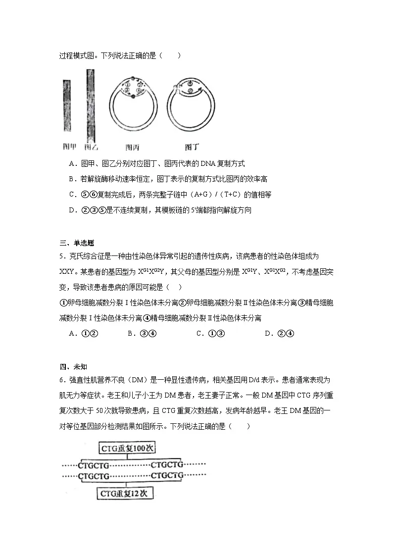河南省H20高中联盟2024-2025学年高三下学期4月联考生物试卷（无答案）第2页