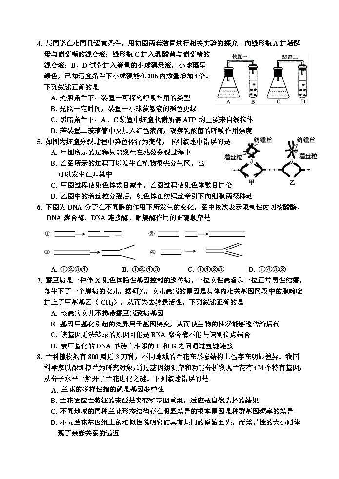 吉林省吉林市2023-2024学年高三上学期第二次模拟考试+生物 含答案第2页