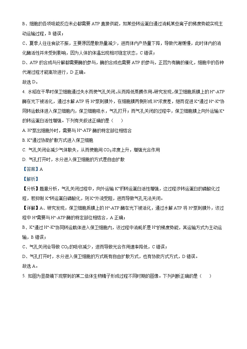 2024届安徽省六安市高三质量检测生物试题 含解析第3页
