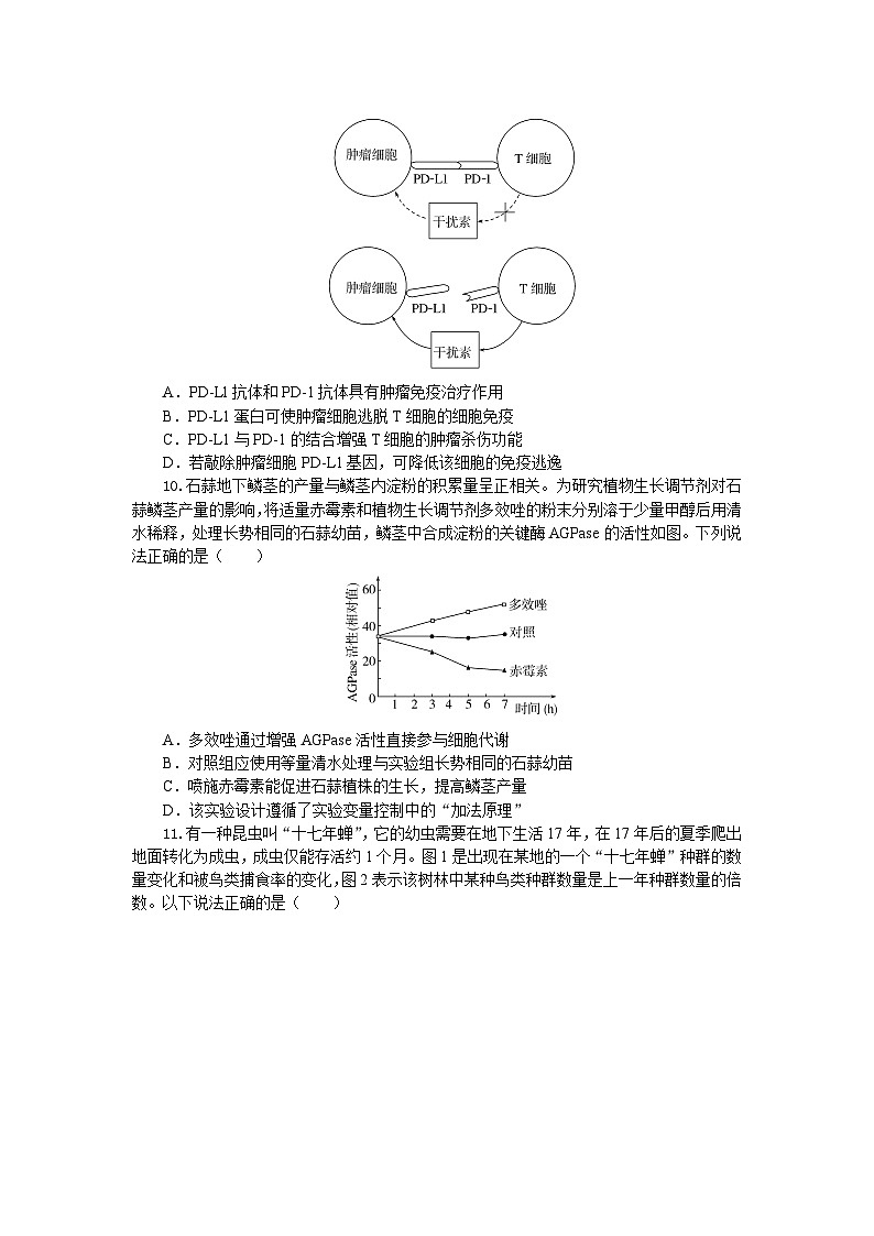 湖北省部分高中协作体2024-2025学年高三下学期4月期中联考生物第3页