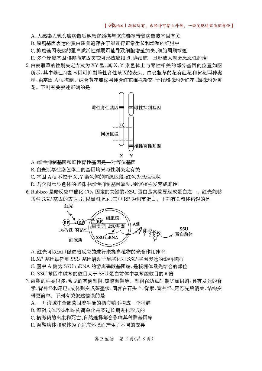 2025届河北省沧州市高三下学期高考二模生物试题（含答案）第2页