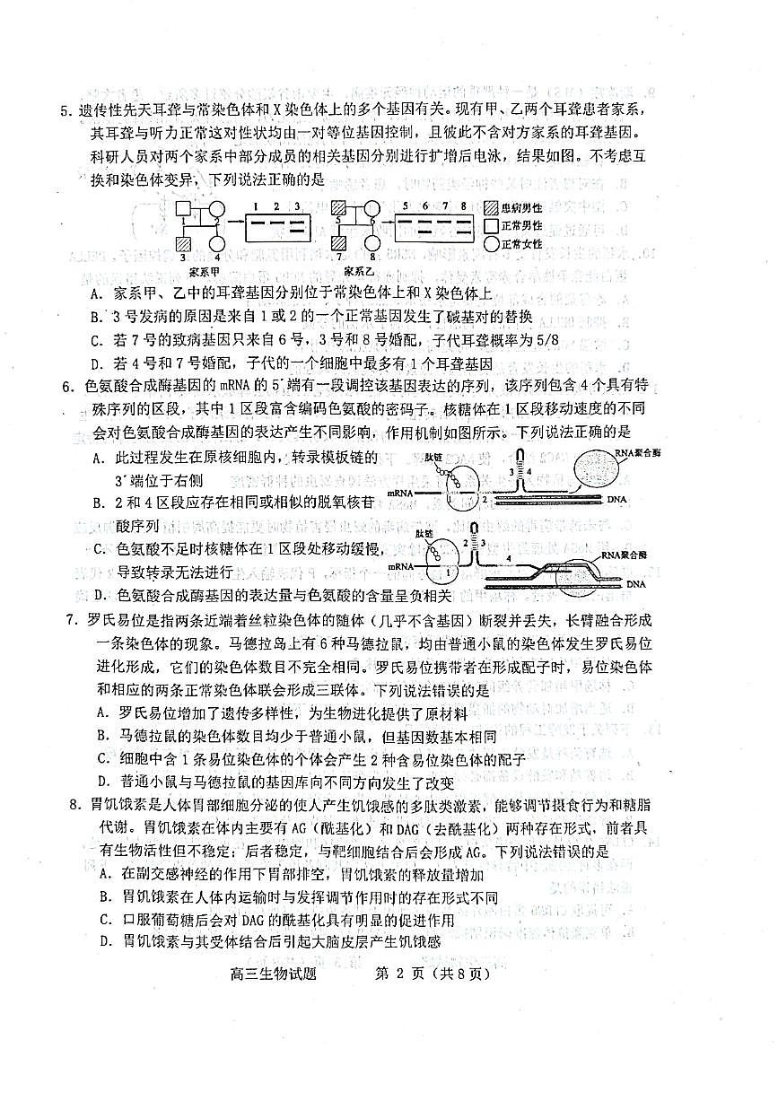 2025 年山东烟台、德州、东营高考诊断性测试（一模）生物试卷（含答案）第2页