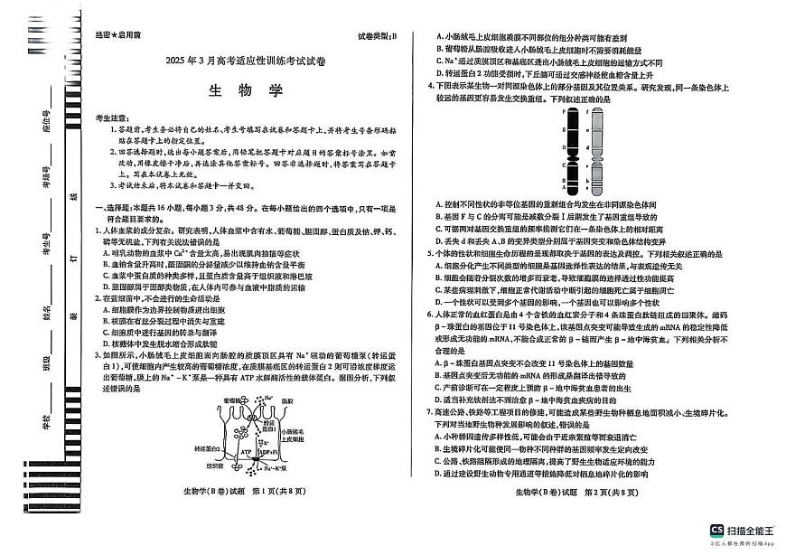 2025届山西省晋中市高三下学期适应性训练考试（二模）生物试卷（含答案）第1页