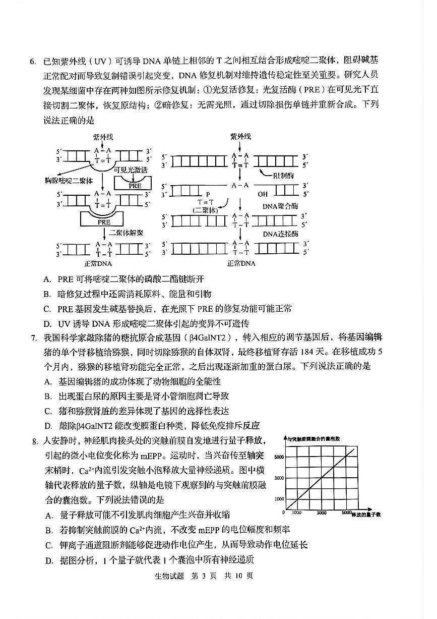 山东省青岛市2025年高三年级第一次适应性检测生物试卷（含答案）第3页