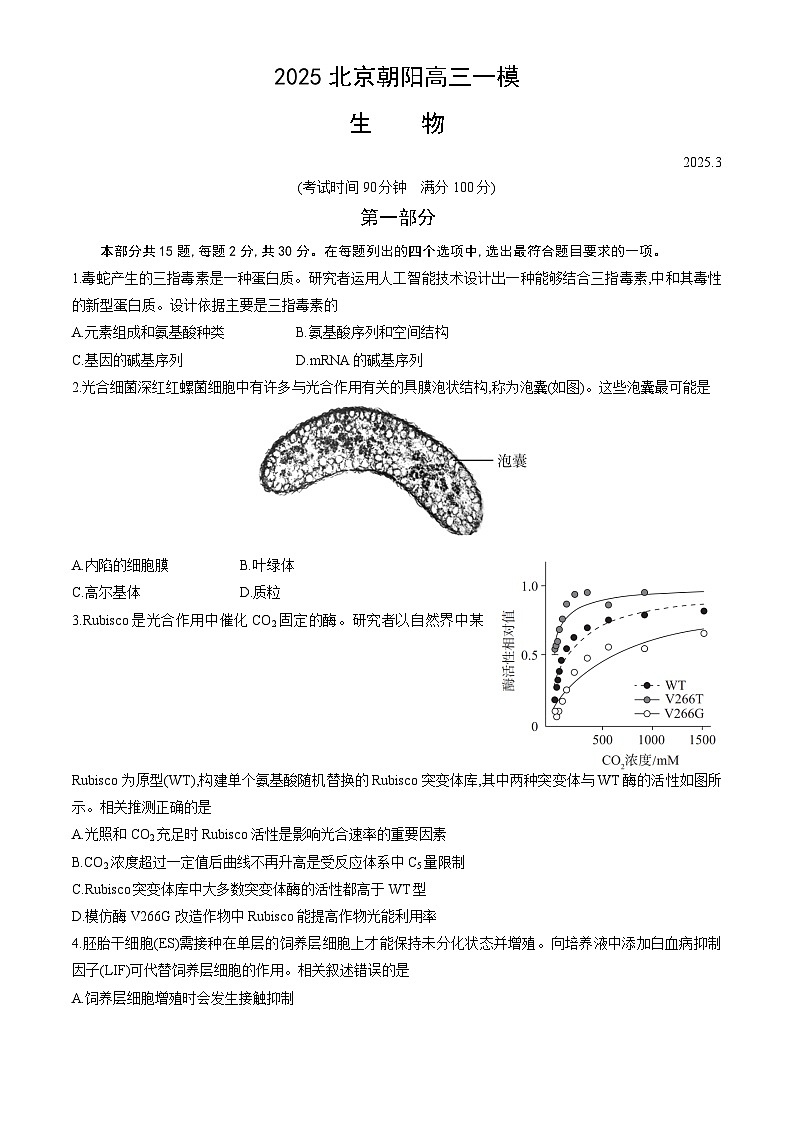 北京市朝阳区2025届高三下学期一模试题 生物 含答案第1页