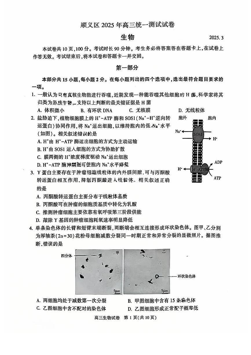北京市顺义区2025届高三下学期3月一模试题 生物 PDF版含答案第1页