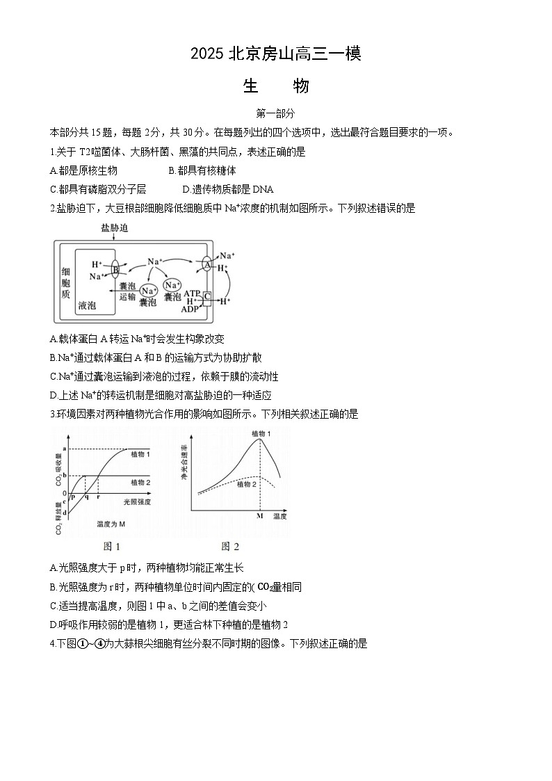 北京市房山区2025届高三下学期一模试题 生物 含答案第1页
