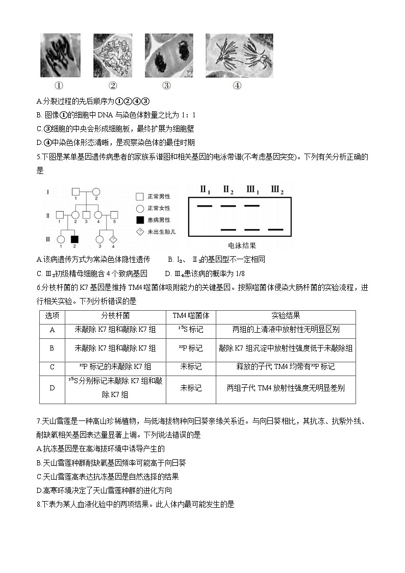 北京市房山区2025届高三下学期一模试题 生物 含答案第2页
