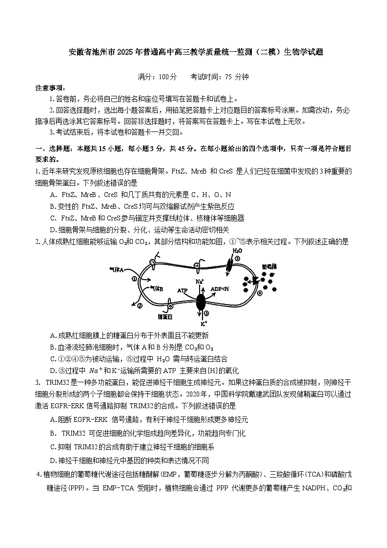 安徽省池州市普通高三2025届高三下学期教学质量统一监测（二模）生物学试题（有答案）第1页